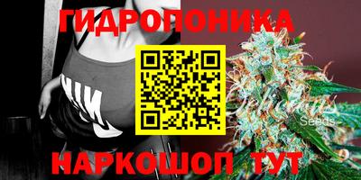 марихуана Будённовск