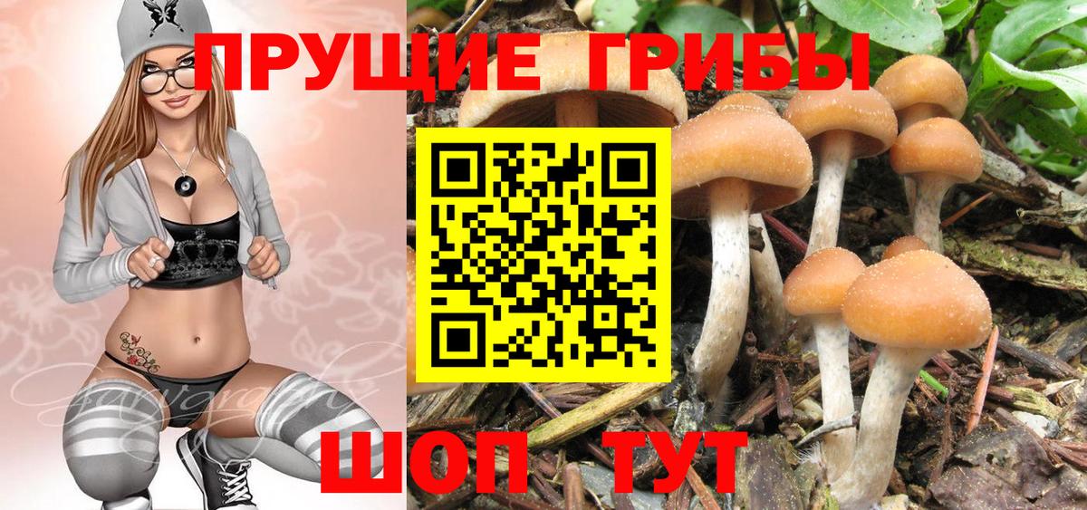 Псилоцибиновые грибы прущие грибы  Вход с VPN  Красноперекопск 